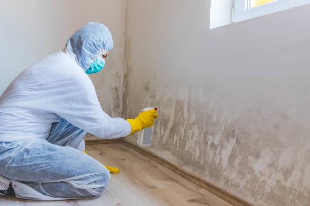 Hvac And Air Duct Mold Remediation inspection of HVAC system in Bethel